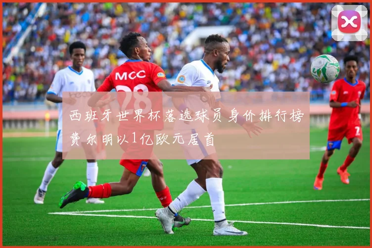 西班牙世界杯落选球员身价排行榜费尔明以1亿欧元居首