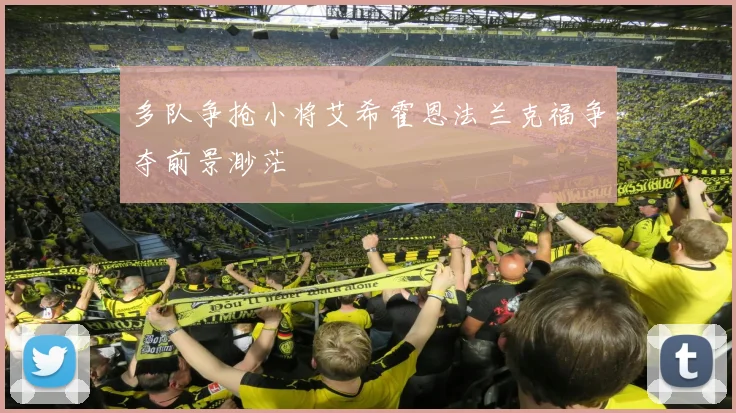 多队争抢小将艾希霍恩法兰克福争夺前景渺茫